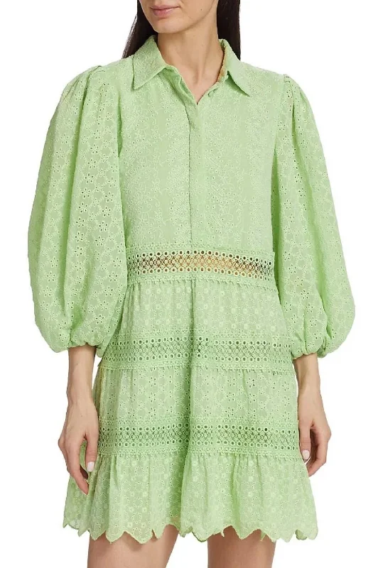 Best Price of the Season!Blakesley Mini Dress In Pistachio
